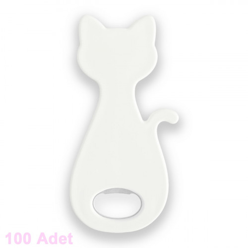 kedi magnet açacak kedi magnet açacak